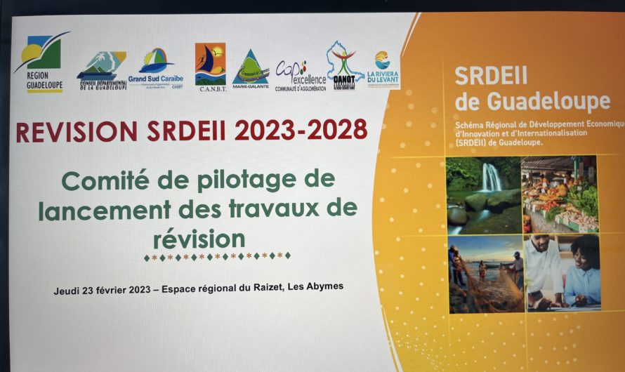 La Région Guadeloupe lance les travaux de révision du Schéma régional de développement économique d’innovation et d’internationalisation (SRDEII)