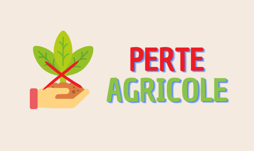 Annonce Agricole