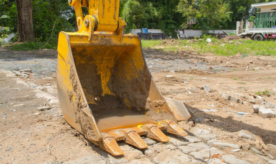 Routes de Guadeloupe : Travaux d’élagage