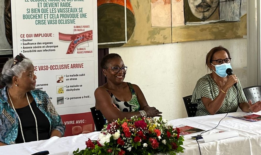 Journée mondiale de lutte contre la Drépanocytose