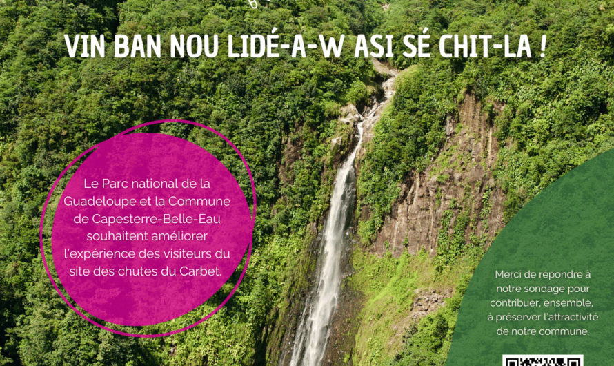 Améliorons ensemble l’expérience aux Chutes du Carbet
