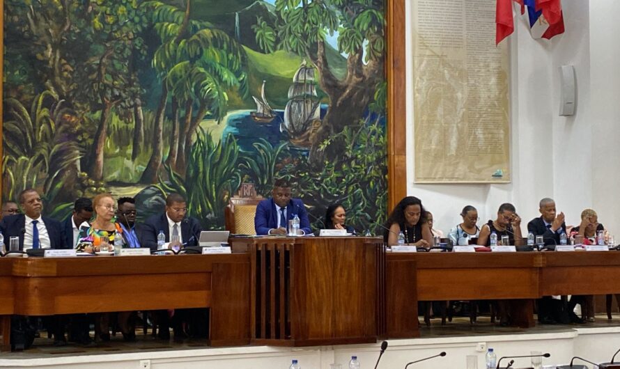 Séance plénière du Conseil Départemental. solidarité, sécurité et projets pour la Guadeloupe