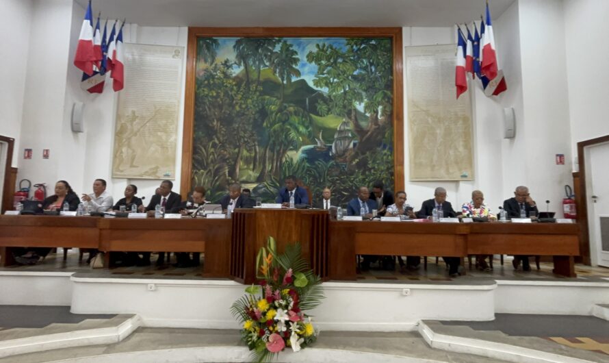 Département. Un budget 2025 ambitieux pour la solidarité et le développement