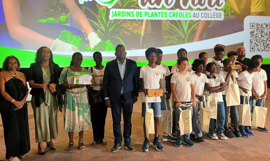 JADEN AN NOU : Les collégiens de Guadeloupe à l’honneur pour leurs jardins créoles
