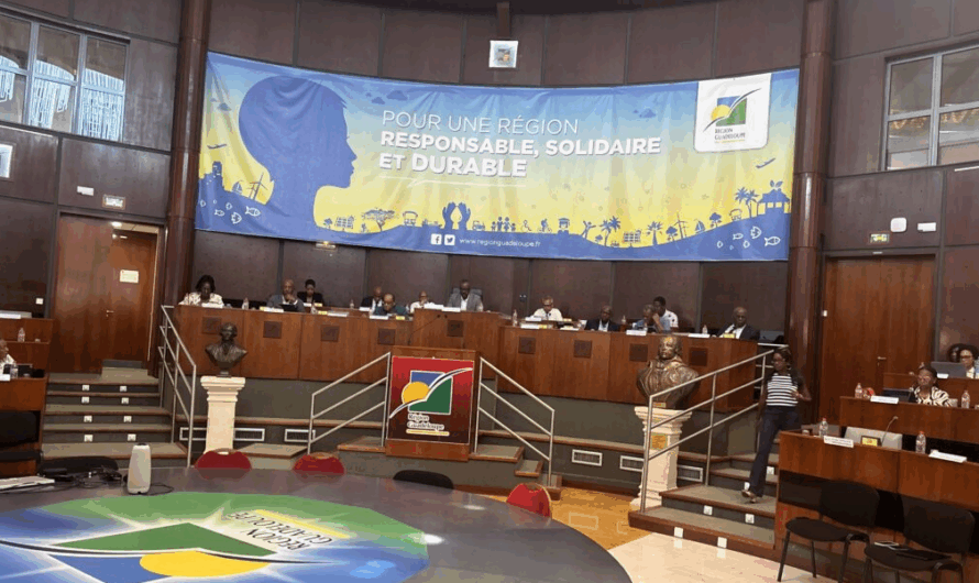 Basse-Terre. La 4e assemblée plénière de l’année de la région