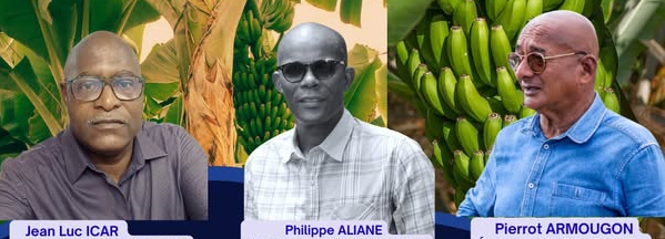 Réduction du POSEI banane au détriment de la Guadeloupe rediffusion de l’émission du 20 septembre 2025