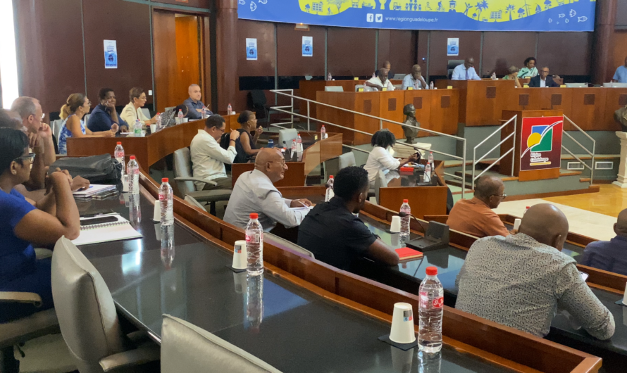 Région Guadeloupe.LE GRAND FORUM CITOYEN des associations culturelles et des Ligues sportives de l’archipel